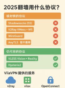 2025翻墙用什么协议，看这一篇就够了